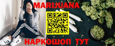 индика Лесосибирск