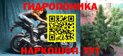 стафф Ликино-Дулёво