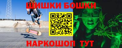индика Лесосибирск