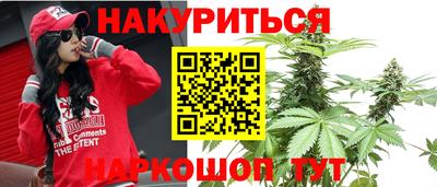 индика Лесосибирск
