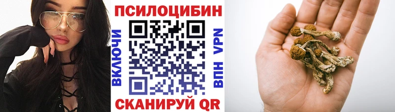 Псилоцибиновые грибы MAGIC MUSHROOMS  купить   Каспийск 