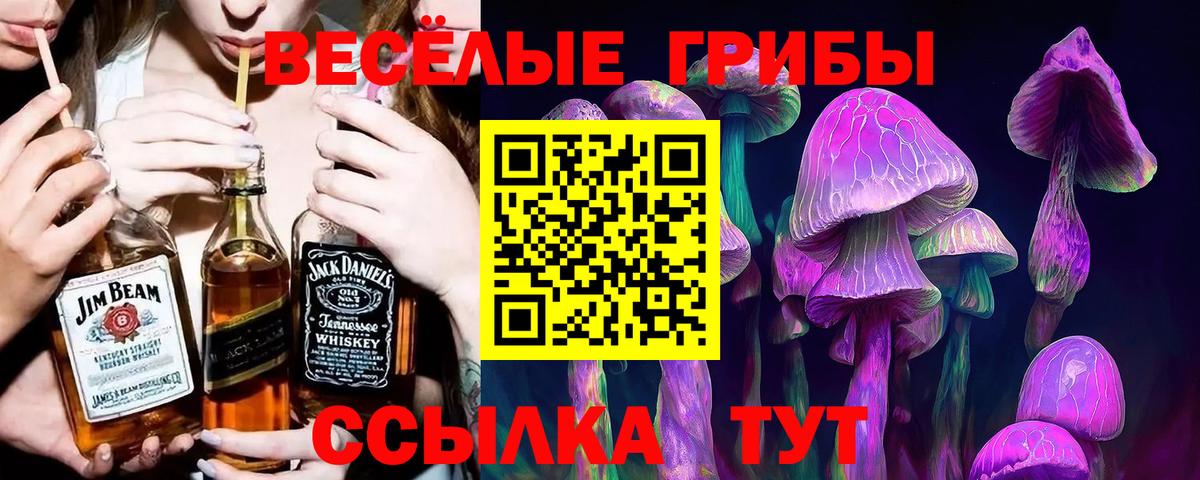 Псилоцибиновые грибы мицелий  Псилоцибиновые грибы прущие грибы  Каспийск  Вход с VPN 