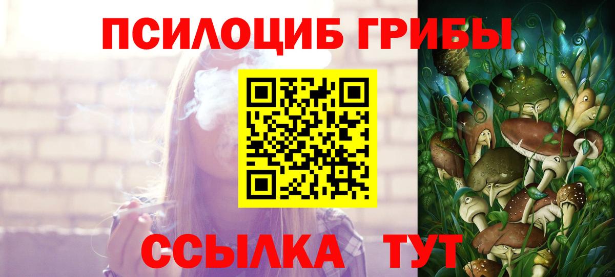 Псилоцибиновые грибы Cubensis Каспийск